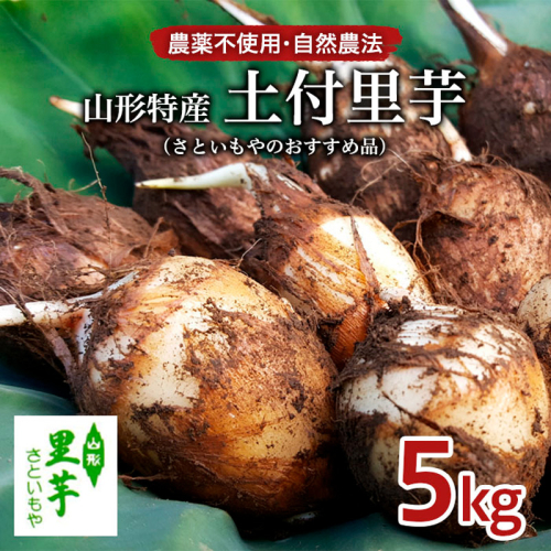 農薬不使用 自然農法 山形特産 土付里芋 5kg!(さといもやのおすすめ品) FZ23-135 194744 - 山形県山形市