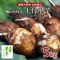 農薬不使用 自然農法 山形特産 土付里芋 5kg!(さといもやのおすすめ品) FZ23-135