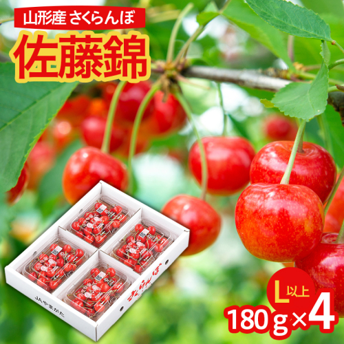 山形市産 さくらんぼ 佐藤錦 L以上 720g(180g×4パック) バラ詰め 【令和8年産先行予約】FS25-582 194751 - 山形県山形市