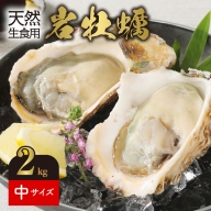 【2024/4月～発送】延岡市産　天然岩牡蠣（生食用）中サイズ250g程度　計2kg N124-ZA378