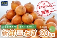 【A1-042】日本農業賞大賞受賞！JAきたみらいから直送する甘くて美味しい新鮮玉ねぎ 20kg(L)【2022年10月中旬より順次発送】