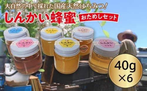 国産天然 しんかい蜂蜜おためしセット 194958 - 北海道遠軽町