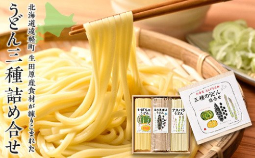 北海道えんがる名物　三種のうどん詰合せ en01-00092 195001 - 北海道遠軽町