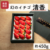 【先行予約・2026年2月】数量限定 いちご 清香 1箱（約450g） 希少品種 限定品 苺 産地直送 農家直送 甘い 大きい 果物