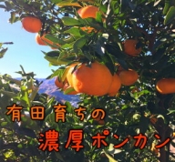 AB6053_【先行予約】【極甘柑橘】有田育ちの 濃厚 ポンカン 【訳あり 家庭用】3kg