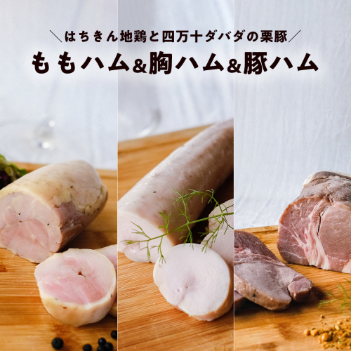 3種のハム 詰め合わせセット 栗豚 地鶏 ハム はちきん地鶏 四万十ダバダ火振栗豚 冷凍 国産 ブランド肉 195251 - 高知県日高村
