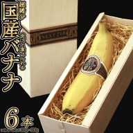 国産バナナ 「NEXT716」 ６本セット