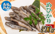 【高級】特大めひかり 500g メヒカリ 干物 寒風 天日干し 魚 カルシウム 冷凍 産地直送 ご飯のお供 漁師 おつまみ 高知県 須崎市 TKM023