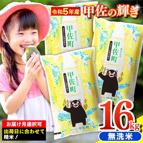【月指定可能】【熊本県産・無洗米・16kg】令和３年度産　甲佐米（5kg×2袋、6kg×1袋）