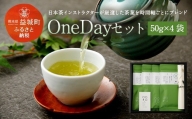 OneDayセット 50g×4袋 茶葉 日本茶