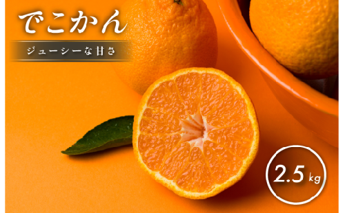 【先行予約】【数量限定】ホリ田ヤ でこかん 2.5kg【K002430】