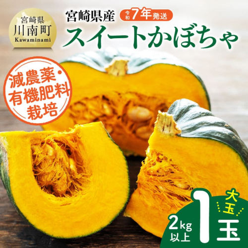 【令和７年発送】宮崎県産　スイートかぼちゃ１玉（2kg以上） 【 2025年発送 野菜 かぼちゃ 南瓜 九州産 宮崎県産 川南町産 新鮮 産地直送 】 1954355 - 宮崎県川南町