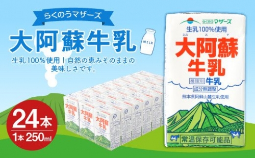 大阿蘇 牛乳 24本 250ml×24本 1ケース 生乳 成分無調整  195441 - 熊本県益城町