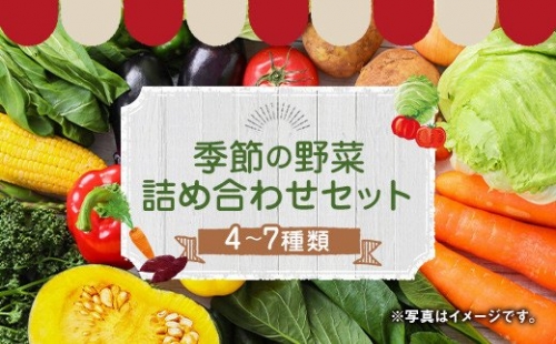 季節の野菜 詰め合わせ セット 4～7種 旬の野菜 季節 野菜 195446 - 熊本県益城町