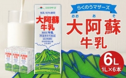 【ふるさと納税】大阿蘇 牛乳 1L 紙パック 6本入 合計6L 成分無調整牛乳 乳飲料