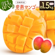《訳あり》宮崎県産 完熟マンゴー 1.5kg（4～6玉）【B365】