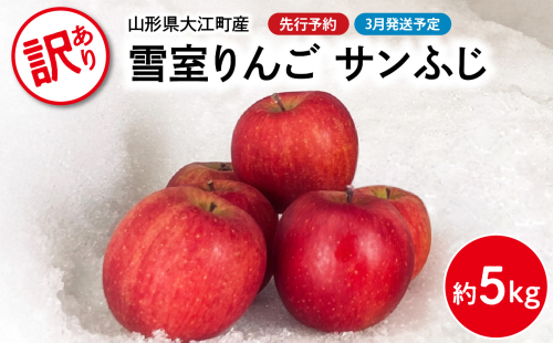 《先行受付》【2026年3月発送予定】 訳あり 雪室りんごサンふじ 約5kg【大江町産・山形りんご・大地農産】 【028-033】 1955058 - 山形県大江町
