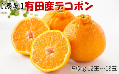 ［お味濃厚］紀州有田産の大玉デコポン約5kg(12玉～18玉入り・青秀以上) ★2026年１月中旬頃より順次発送［TM25］ 195506 - 和歌山県那智勝浦町