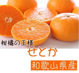 【ふるさと納税】AB6302_【先行予約】柑橘の王様 和歌山有田の濃厚せとか