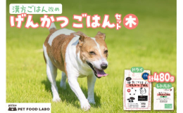 げんかつごはんは、自然療法専門の動物病院『ピリカメディカルサロン』が「我が子に食べさせたいごはん」として開発した「総合栄養食」です。東洋医学の五行説と薬膳理論に基づいて作られ、5種の中からお選びいただ
