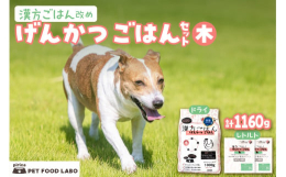 げんかつごはんは、自然療法専門の動物病院『ピリカメディカルサロン』が「我が子に食べさせたいごはん」として開発した「総合栄養食」です。東洋医学の五行説と薬膳理論に基づいて作られ、5種の中からお選びいただ