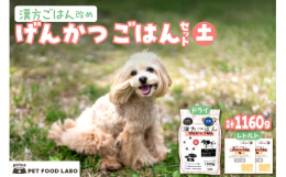 げんかつごはんは、自然療法専門の動物病院『ピリカメディカルサロン』が「我が子に食べさせたいごはん」として開発した「総合栄養食」です。東洋医学の五行説と薬膳理論に基づいて作られ、5種の中からお選びいただ