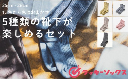 F35 4 Lucky Socks 5種類の靴下が楽しめるセット 25cm 28cmメンズサイズ 佐賀県有田町 Au Pay ふるさと納税