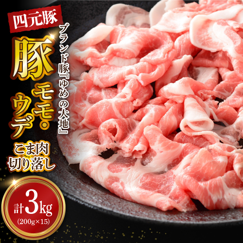 【えりも町生まれ 四元豚】ゆめの大地豚肉切落し（モモ・ウデこま肉）200g×15パック計3kg【er020-008】 1956030 - 北海道えりも町