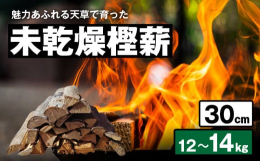 江戸時代の徳川家綱の治世から約200年間、天草の樫の木が幕府に納められていました。樫の木はその硬質な特性から、江戸時代には特に槍の柄木として重宝され、将軍家の槍も天草の樫の木が使用されていたとされてい