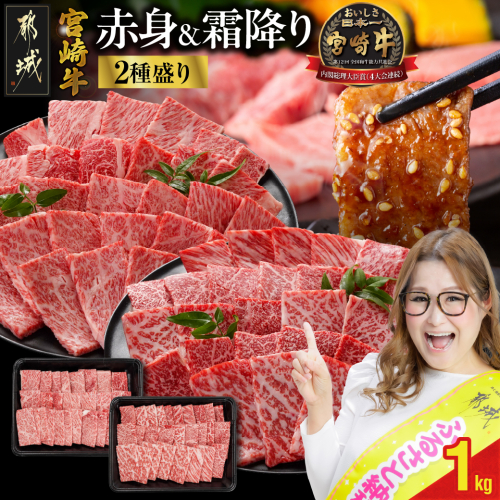 宮崎牛焼肉2種セット500g×2パック_16-N202 1956372 - 宮崎県都城市