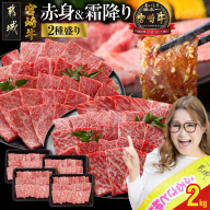 【令和7年4月1日より寄附金額見直し（値上げ）予定】宮崎牛焼肉2種セット500g×4パック_31-N202