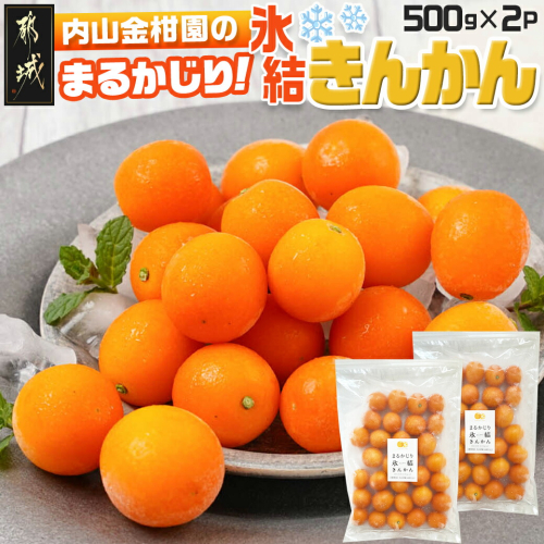 【徳用】内山金柑園のまるかじり氷結きんかん1kg(500g×2P)_12-J702 1958577 - 宮崎県都城市