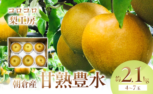 梨 豊水 まるで食べる梨ジュース！！ 甘熟 豊水梨 約2.1kg 4～7玉入 配送不可 離島 ナシ 果物 フルーツ 先行予約  195893 - 福岡県朝倉市