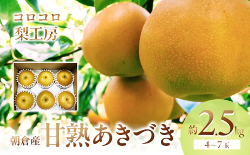 梨 あきづき まるで食べる梨ジュース！！完熟 あきづき梨 約2.5kg 4～6玉入 配送不可 離島 195896 - 福岡県朝倉市