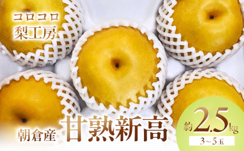 梨 新高梨 甘熟 味に自信あり！！約2.5kg 3～5玉入 配送不可 離島 ナシ 果物 フルーツ 先行予約  195897 - 福岡県朝倉市