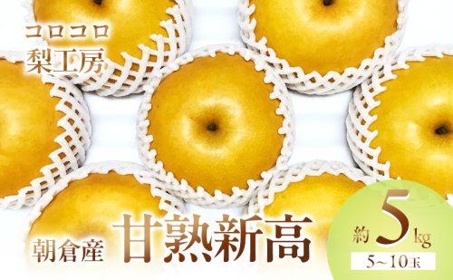 梨 新高梨 甘熟 味に自信あり！！約5kg 5～10玉入 配送不可 離島 ナシ 果物 フルーツ 先行予約  195898 - 福岡県朝倉市