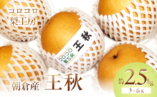 梨 王秋梨 まるで食べる梨ジュース！！約2.5kg 3～6玉入 ナシ 果物 フルーツ 先行予約  195899 - 福岡県朝倉市