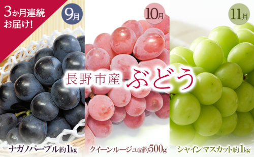 長野市産ぶどう3か月連続お届け！【1か月目】ナガノパープル約1kg【2か月目】クイーンルージュ(登録商標)約500ｇ【3か月目】シャインマスカット約1kg2025年9月～11月まで発送 1959780 - 長野県長野市