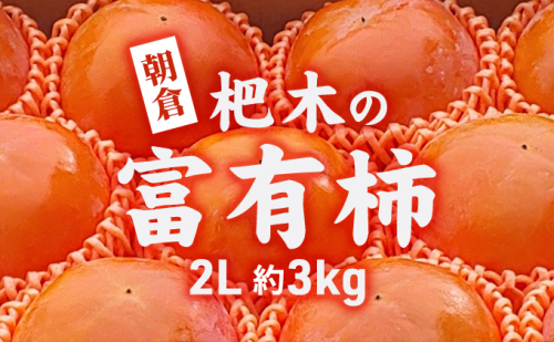 柿 かき 富有柿 3kg 2L サイズ 10～12個入り 朝倉 杷木の富有柿 カキ フルーツ 果物 195984 - 福岡県朝倉市