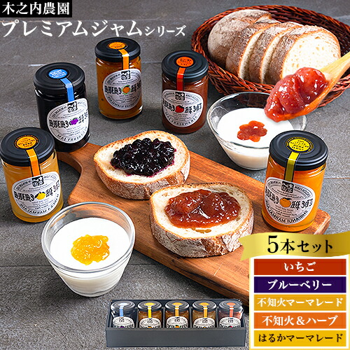 阿蘇 木之内農園 プレミアムシリーズ 5本セット 1本 150g×5 いちご ブルーベリー 不知火マーマレード はるかマーマレード 不知火ハーブマーマレード《30日以内に出荷予定(土日祝を除く)》 熊本県 南阿蘇村 ジャム スイーツ ギフトセット 送料無料 1959862 - 熊本県南阿蘇村