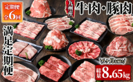 2852 [定期便]牛肉・豚肉満足定期便(計6回 8.65kgお届け)(2025年3月より出荷開始)[九州産 国産 冷凍 小分け 牛肉 豚肉 ステーキ 食べ比べ 定期便 真空パック 真空包装]