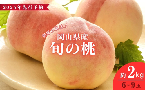 ＜数量限定＞【2026年先行予約】岡山県産 厳選旬の桃 約2kg（6玉～9玉）【037-a001】 1960165 - 岡山県鏡野町
