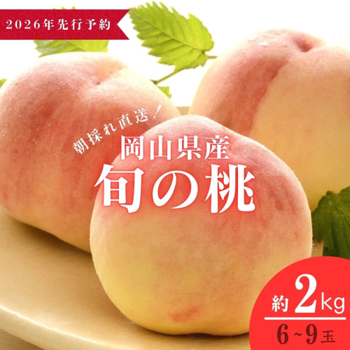 ＜数量限定＞【2026年先行予約】岡山県産 厳選旬の桃 約2kg（6玉～9玉）【037-a001】 1960165 - 岡山県鏡野町