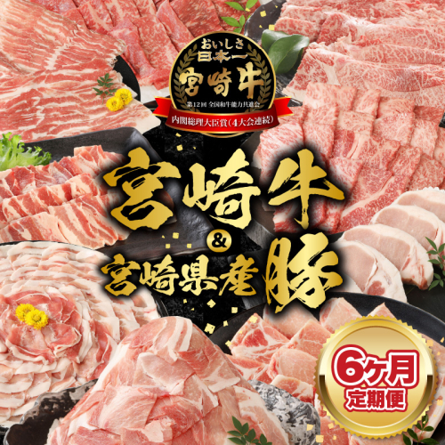 【6ヶ月定期便】宮崎牛と宮崎県産豚 N0147-YF098 1960216 - 宮崎県延岡市