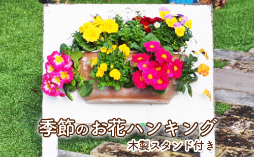 植物 季節のお花のハンキング 木製スタンド付き 花 インテリア ガーデン 196025 - 福岡県朝倉市