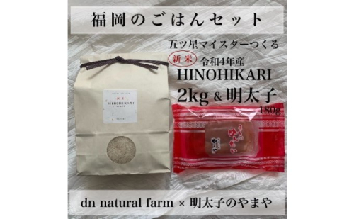 福岡のごはんセット【農家直送】 新米ヒノヒカリ2kg × やまや『うちのめんたい180g』※配送不可：離島 お米 魚貝類 明太子  196109 - 福岡県朝倉市