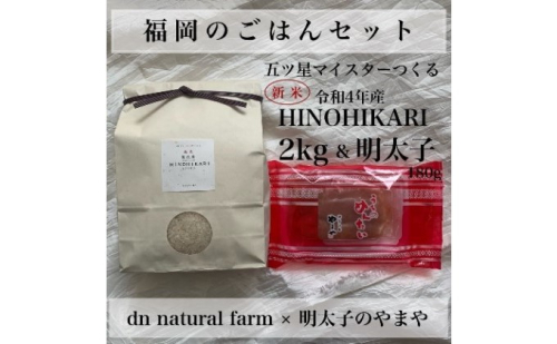 福岡のごはんセット【農家直送】新米ヒノヒカリ無洗米2kg × やまや『うちのめんたい180g』※配送不可：離島 お米 魚貝類 明太子  196126 - 福岡県朝倉市