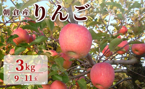 りんご 朝倉産 3kg 9玉～11玉 朝倉りんご園 196176 - 福岡県朝倉市