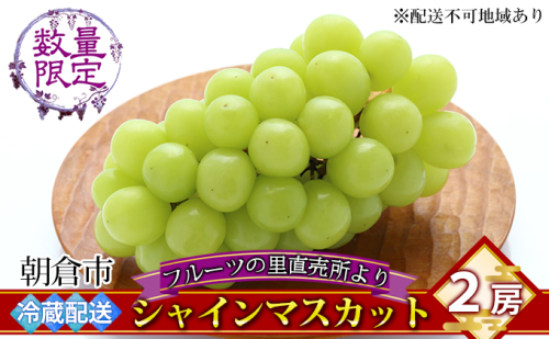 シャインマスカット 2房 フルーツの里の直売所より 葡萄 果物類 ぶどう 皮ごと 高い糖度 ※配送不可：離島 196188 - 福岡県朝倉市