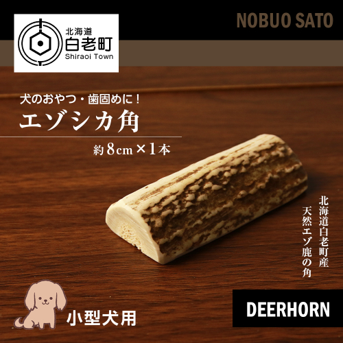 犬のおやつ・歯固めに！エゾシカ角 約8cm×1本（小型犬用） 196264 - 北海道白老町